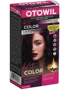 Kit Simple - Argan |5.20 Borravino Uva + Doble Oxidante 20 Vol + Puntitas Fashion + Guantes 2